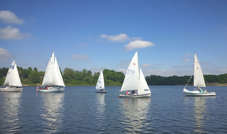 IMG_20240518_145131_056_1