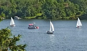 IMG_20250622_103040_196_1