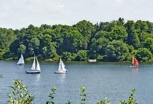 IMG_20250622_110103_758_1